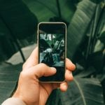A person holding a smartphone, capturing a close-up shot of a leafy plant in a vibrant, natural setting.