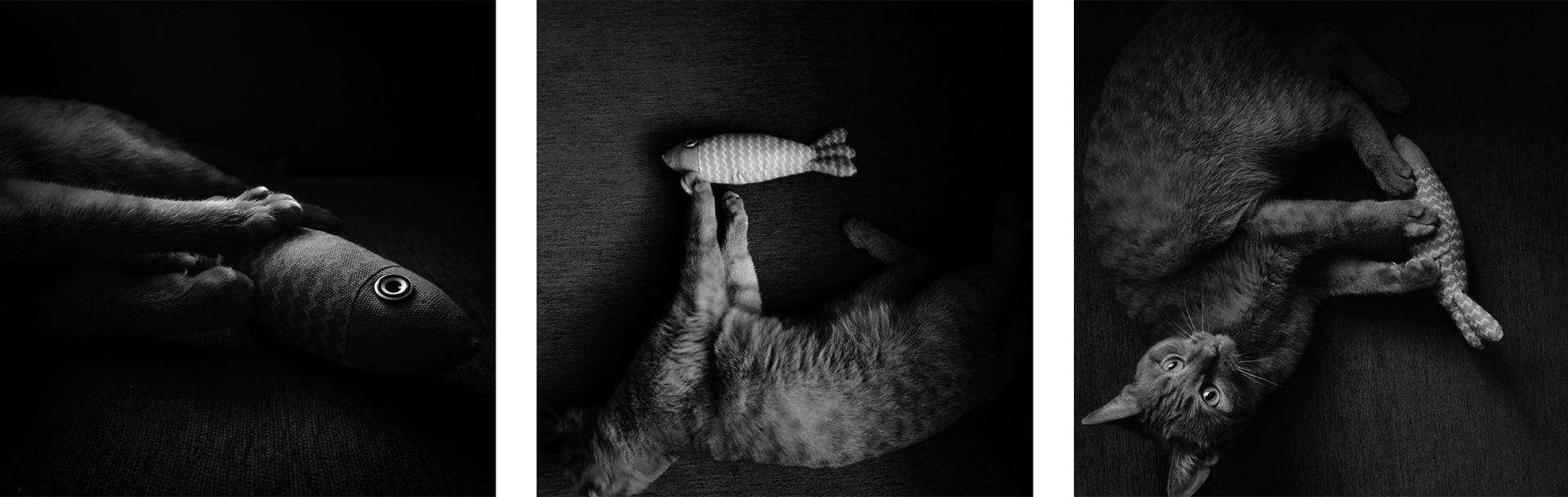From Moonlit Streets to Central Park Arches: These are the Winning Images of the 2025 iPhone Photography Awards