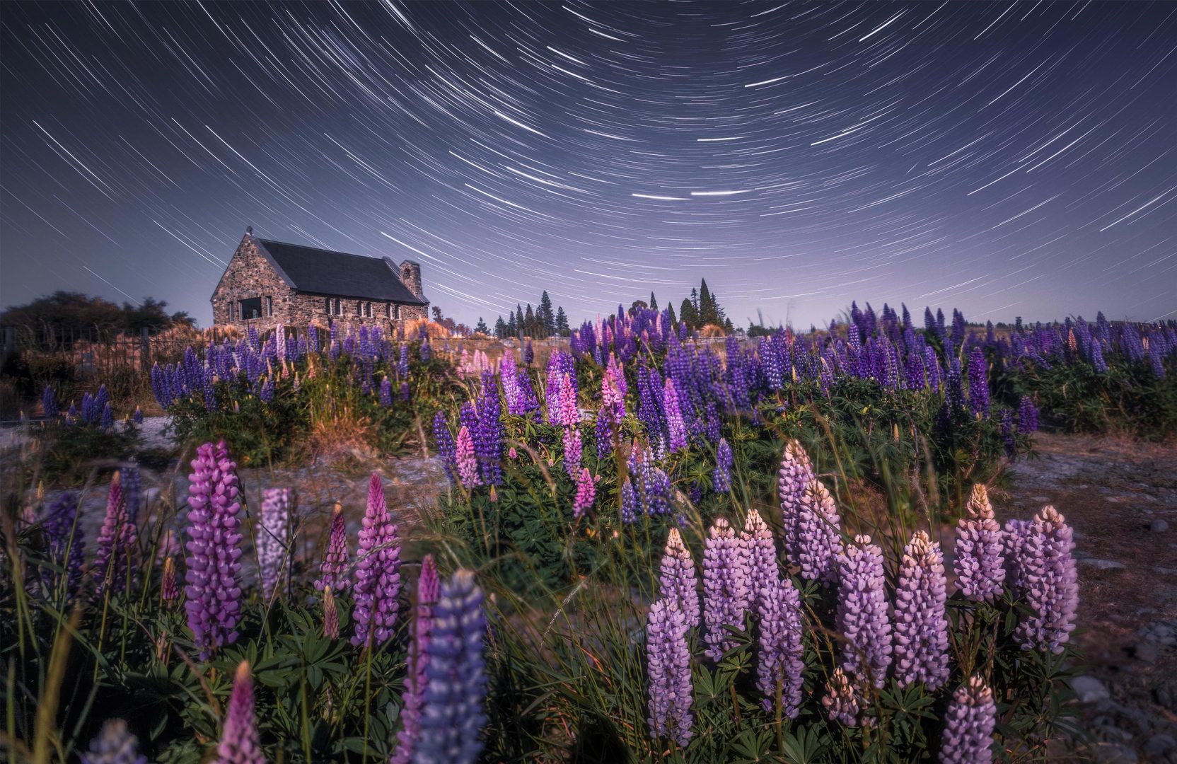 Enjoy The World's Darkest Skies With These Spectacular Winning Shots from Capture The Dark 2025