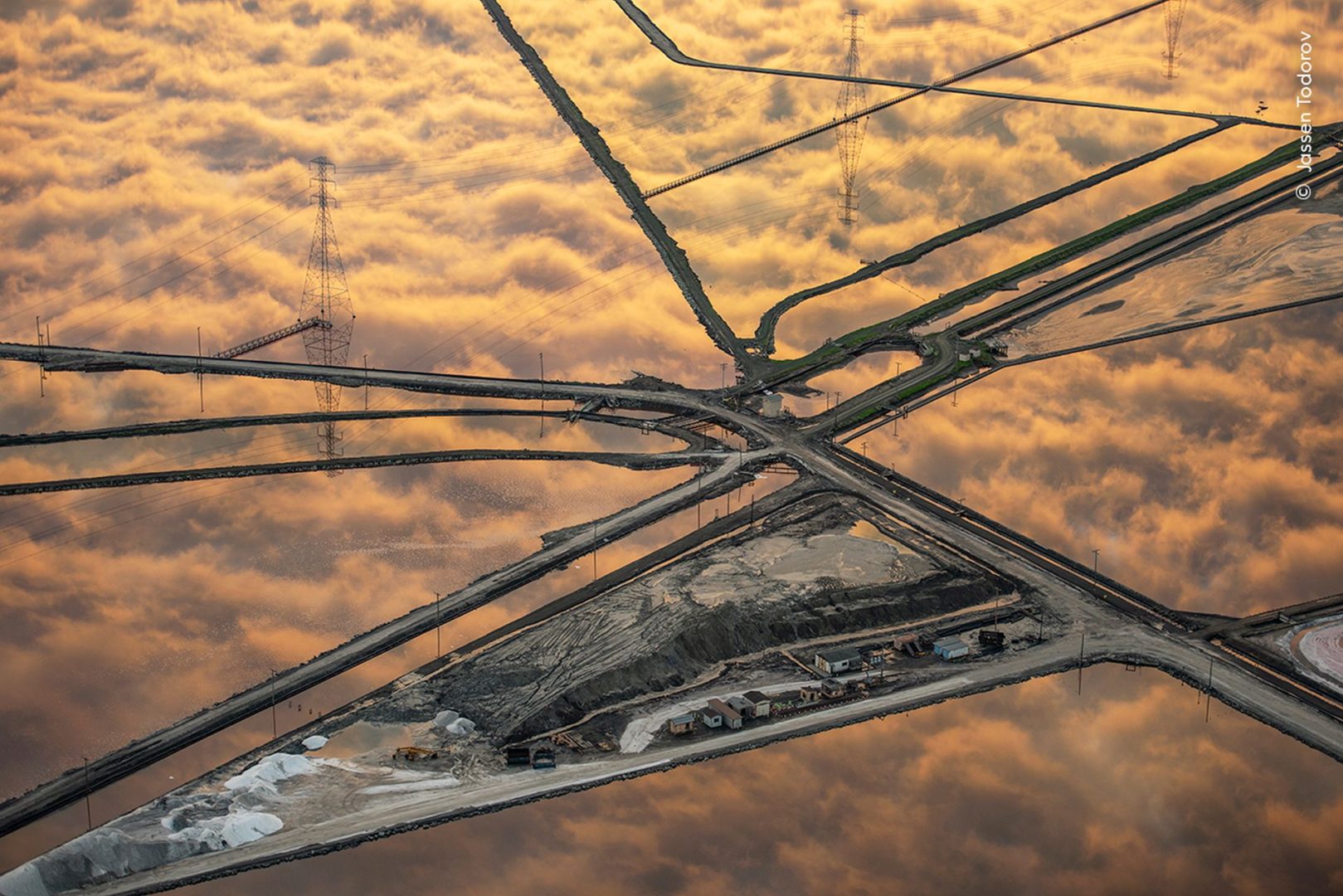Wildlife photographer of the year 2025 highly commended