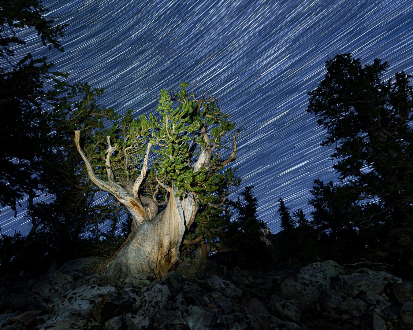 Enjoy The World's Darkest Skies With These Spectacular Winning Shots from Capture The Dark 2025