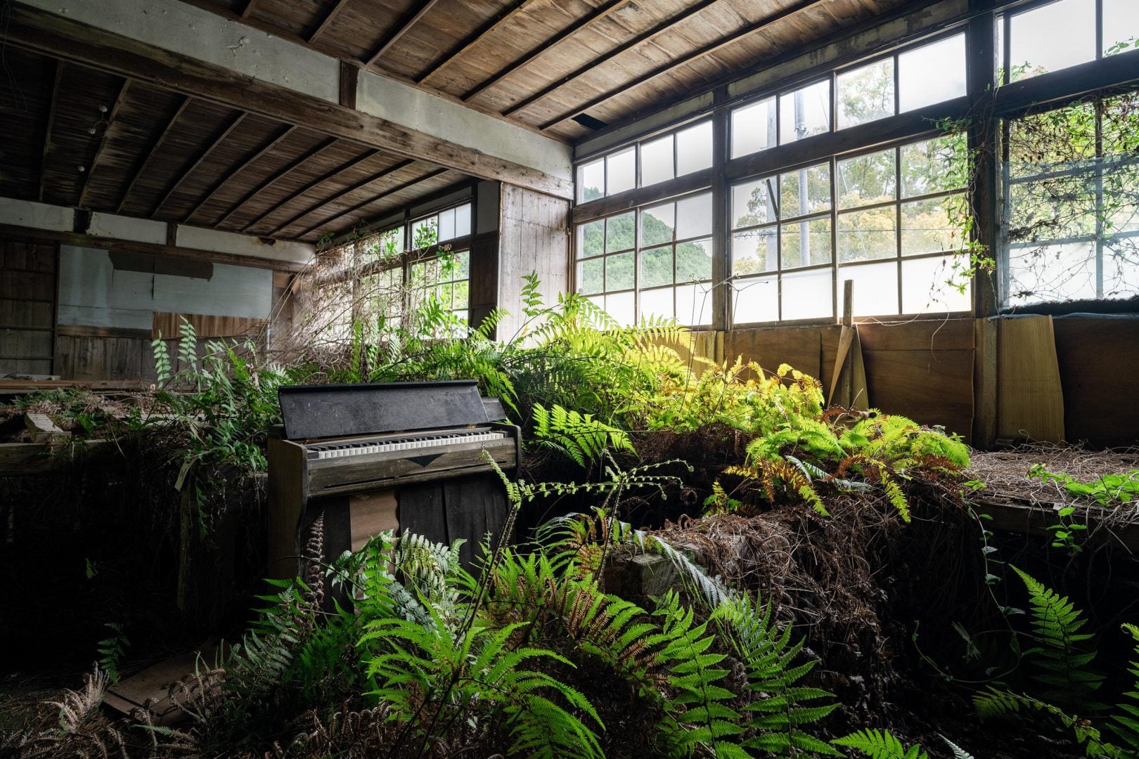 This Year's International Photography Awards Winning Images Will Change How You See The World