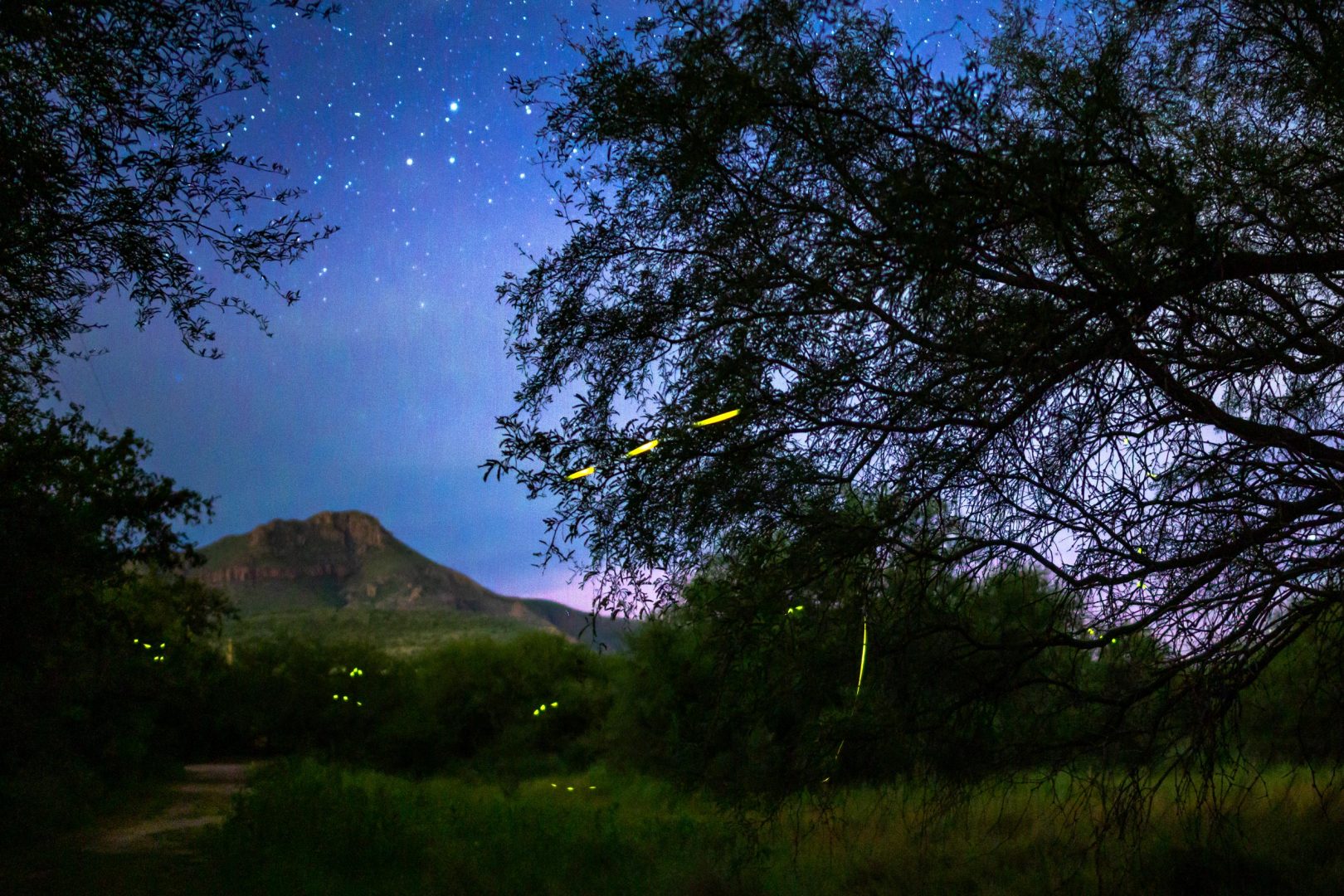Enjoy The World's Darkest Skies With These Spectacular Winning Shots from Capture The Dark 2025