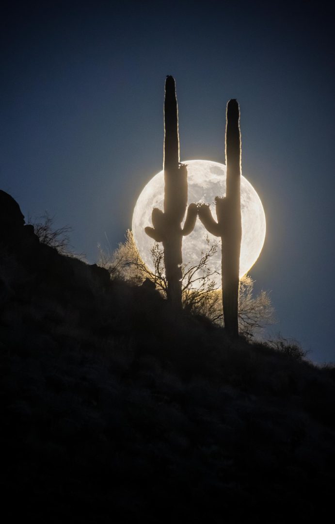 Enjoy The World's Darkest Skies With These Spectacular Winning Shots from Capture The Dark 2025