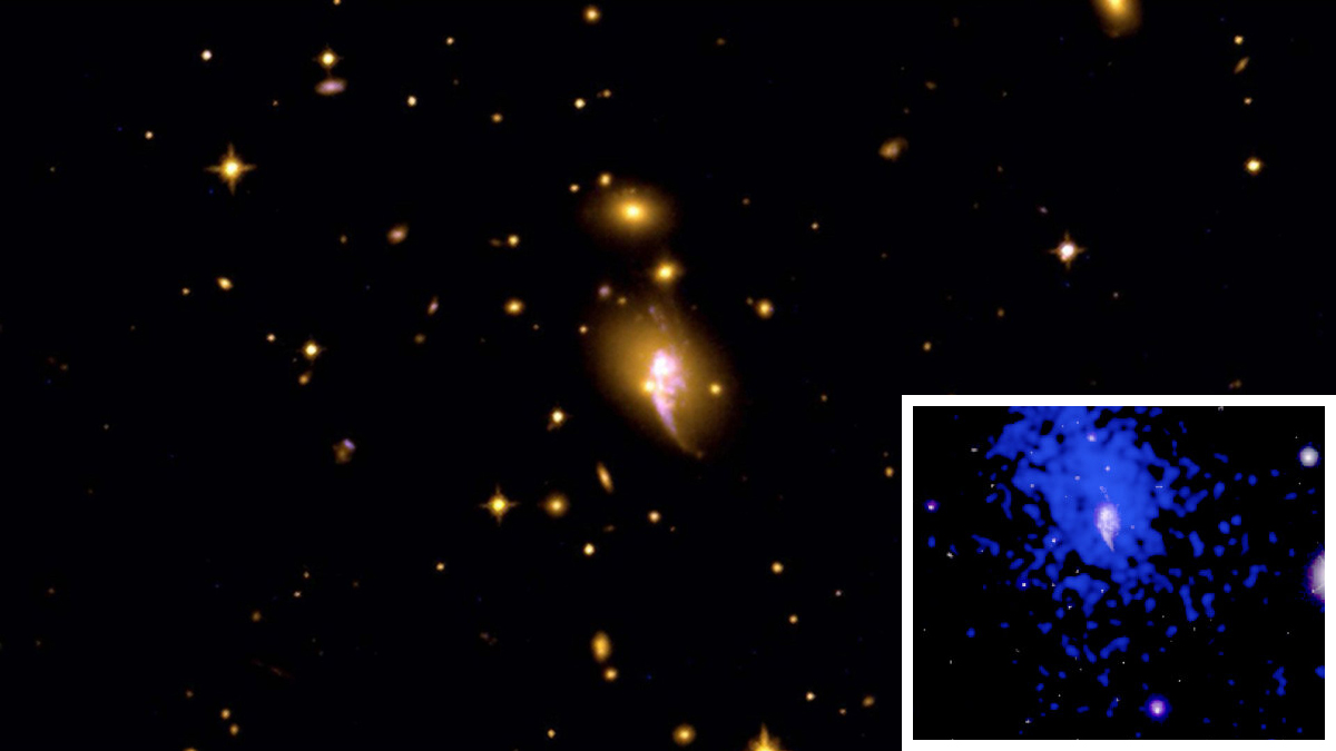 CHiPS 1911+4455 vla vlba cover