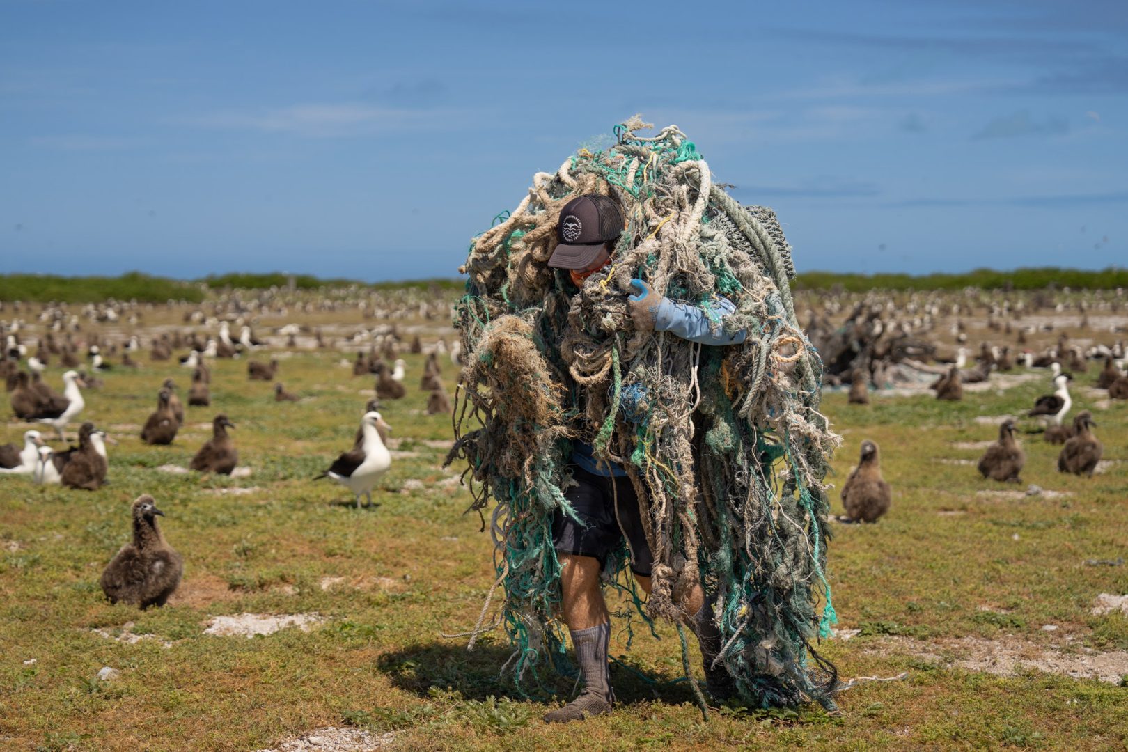 Ocean Photographer of the Year 2025 Finalists Reveal the Stunning and Stark Reality of Our Blue Planet