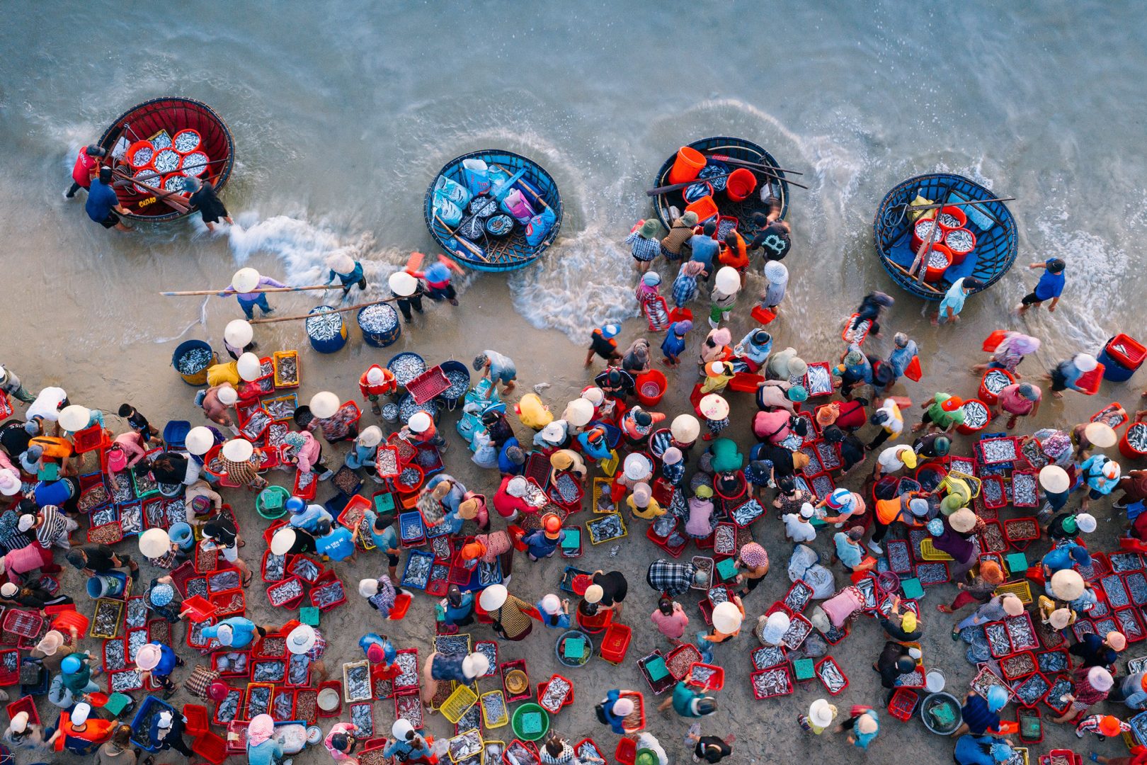 Ocean Photographer of the Year 2025 Finalists Reveal the Stunning and Stark Reality of Our Blue Planet