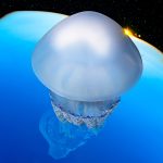 Ocean Photographer of the Year 2025 Finalists Reveal the Stunning and Stark Reality of Our Blue Planet
