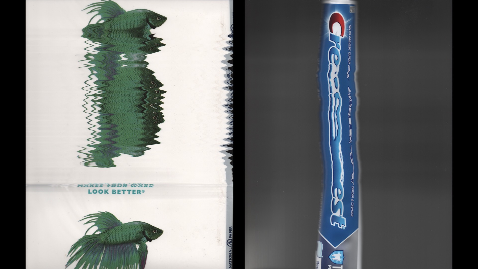 Betta fish and toothpaste