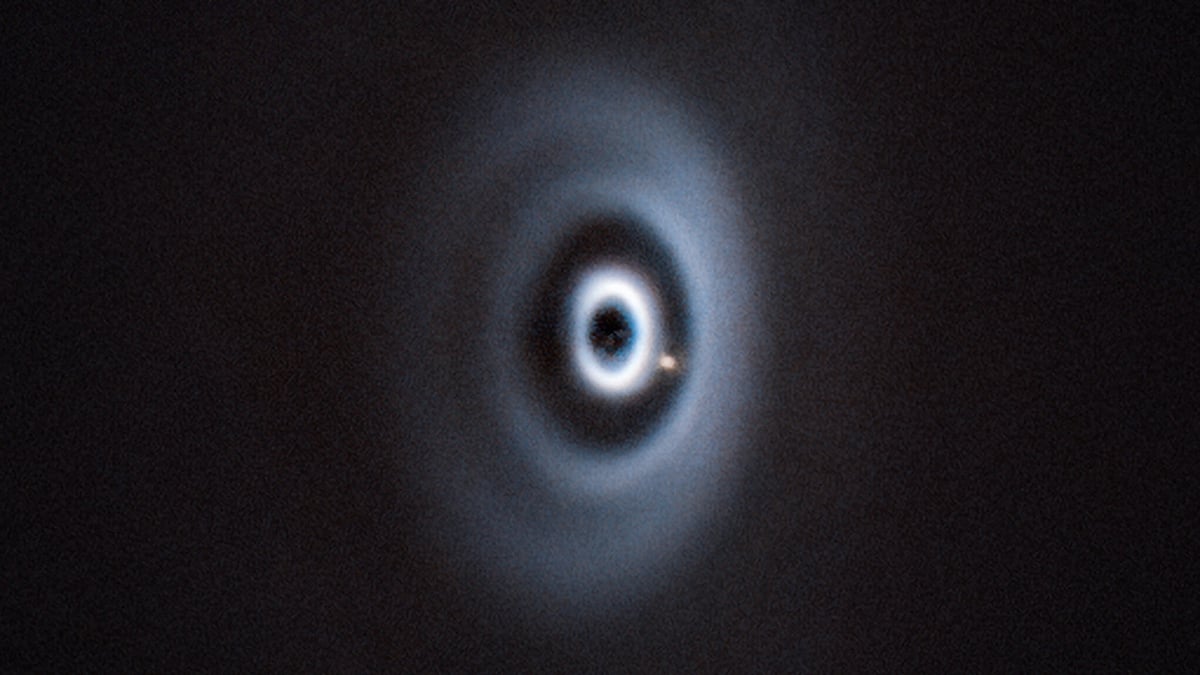 hungry planet vlt cover