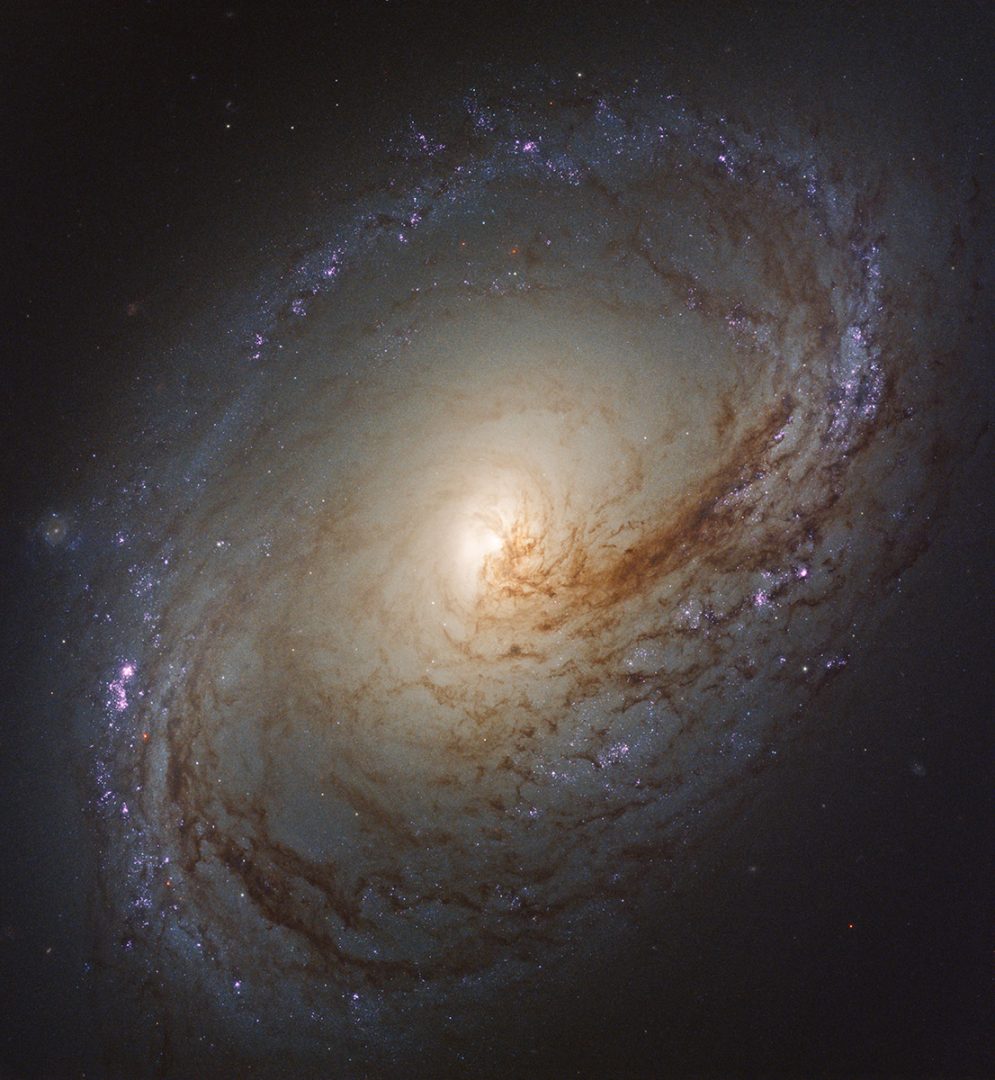 Hubble's 2018 view of Messier 96. Credit: NASA, ESA, and the LEGUS team