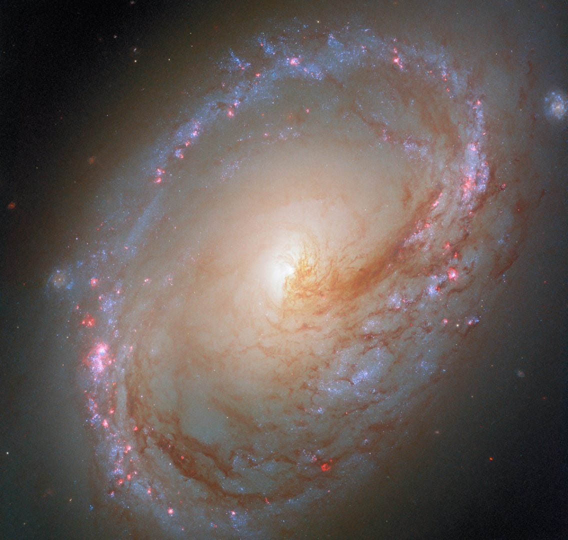 Hubble's latest (2025) view of Messier 96. Credit: ESA/Hubble & NASA, F. Belfiore, D. Calzetti