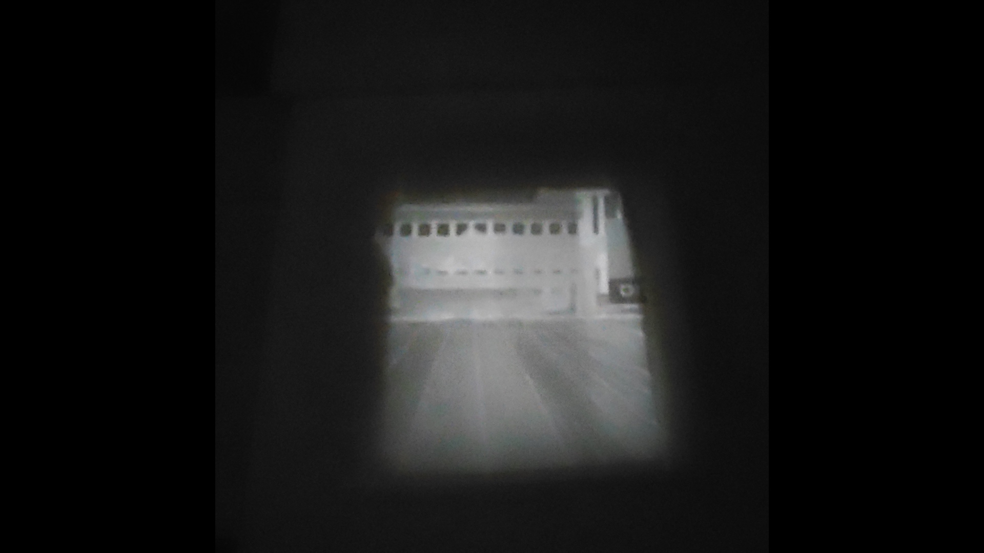 Negative enlarger projection