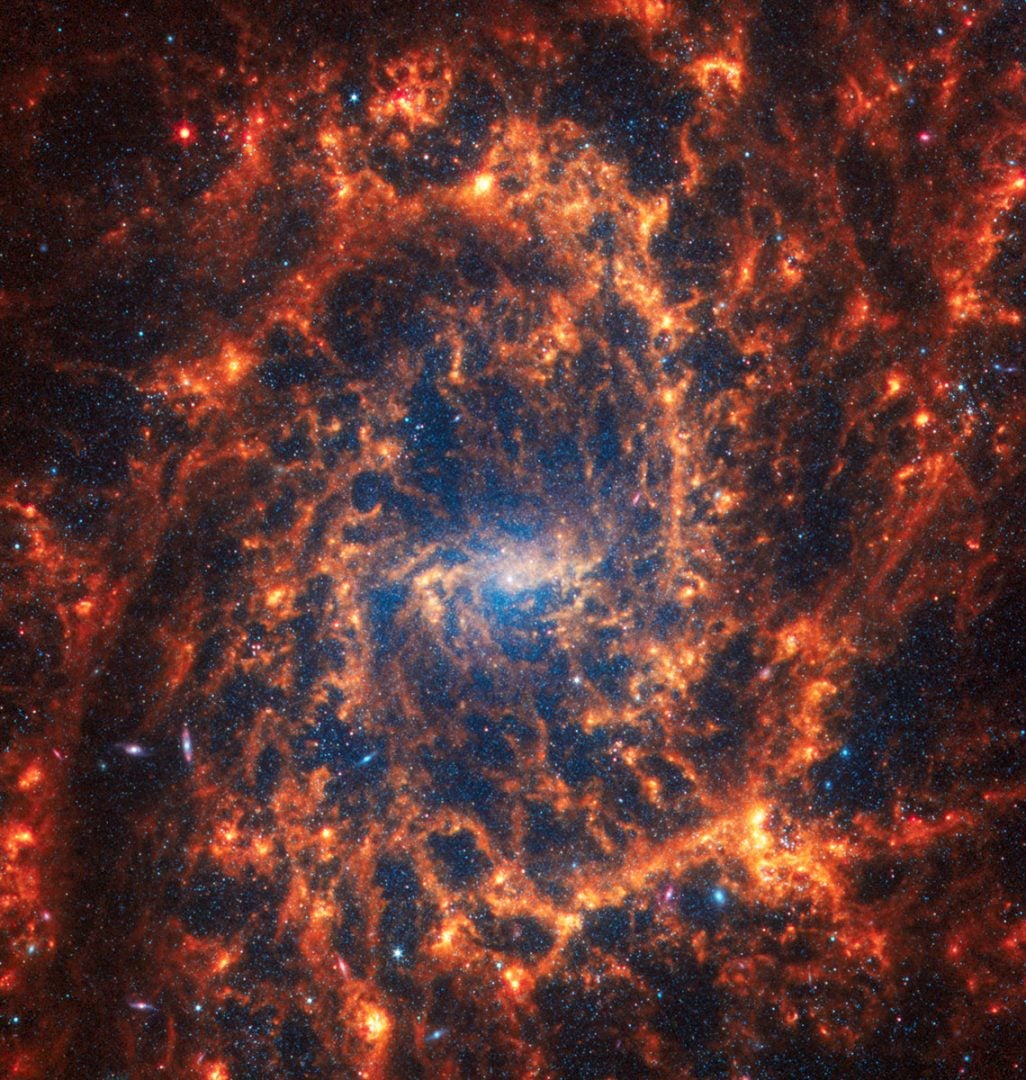 NGC 2835 photographed by JWST. Credit: NASA, ESA, CSA, STScI, Janice Lee (STScI), Thomas Williams (Oxford), PHANGS Team