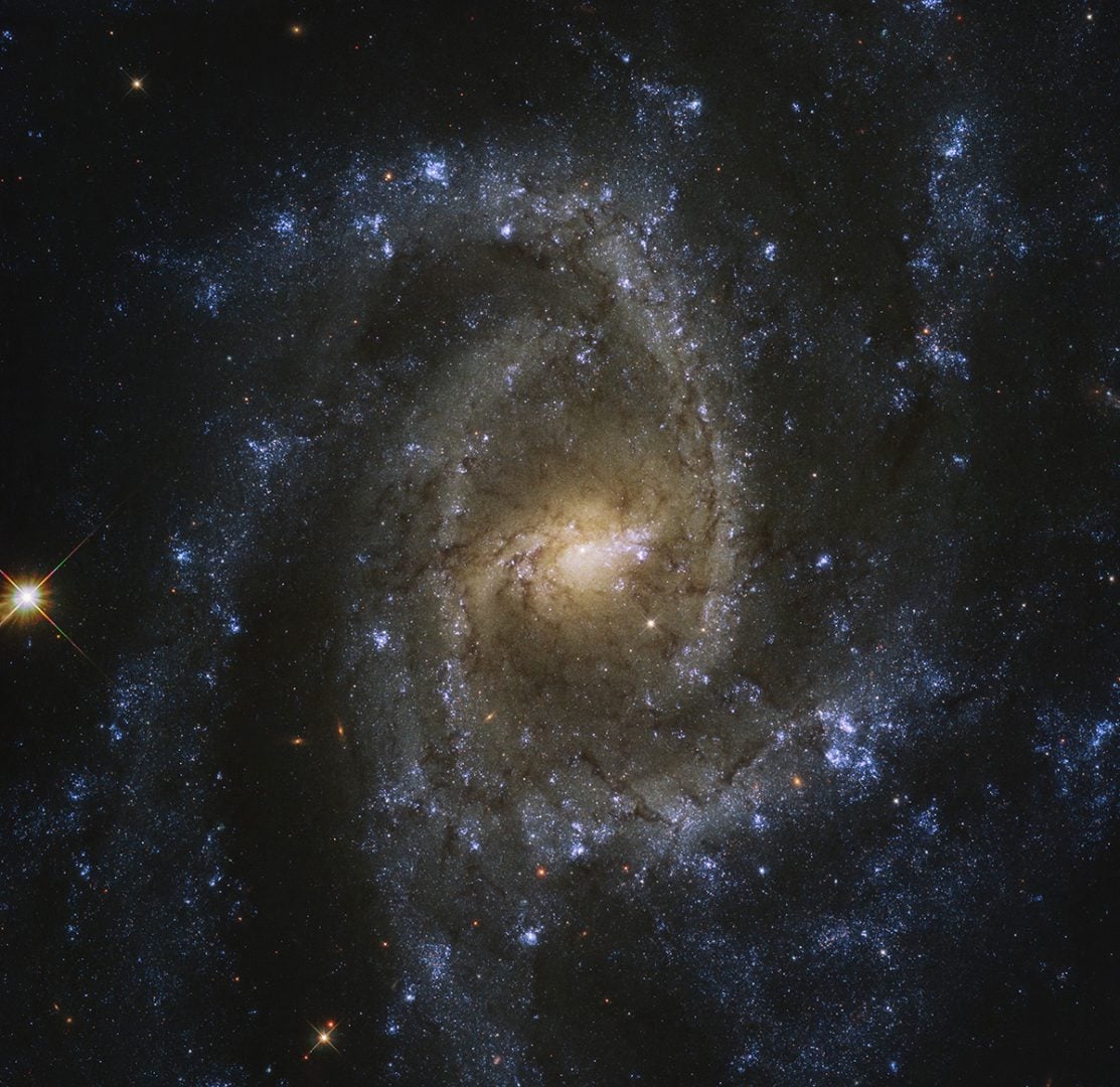 Hubble's 2020 image of NGC 2835. Credit: ESA/Hubble & NASA, J. Lee, and the PHANGS-HST Team Acknowledgement: Judy Schmidt (Geckzilla)