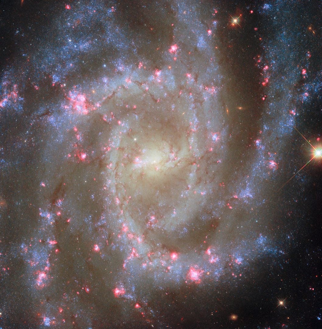 Hubble's new image of NGC 2835. Credit: ESA/Hubble & NASA, R. Chandar, J. Lee, and the PHANGS-HST team