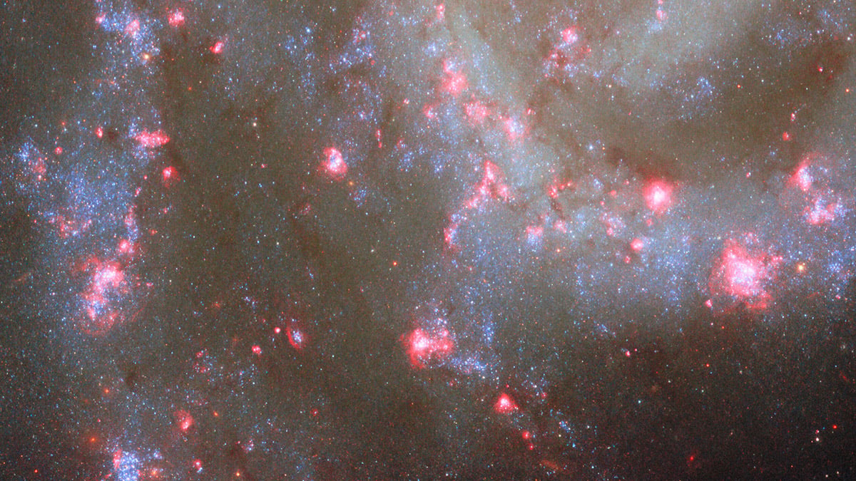 Star-forming regions in NGC 2835. Credit: ESA/Hubble & NASA, R. Chandar, J. Lee, and the PHANGS-HST team