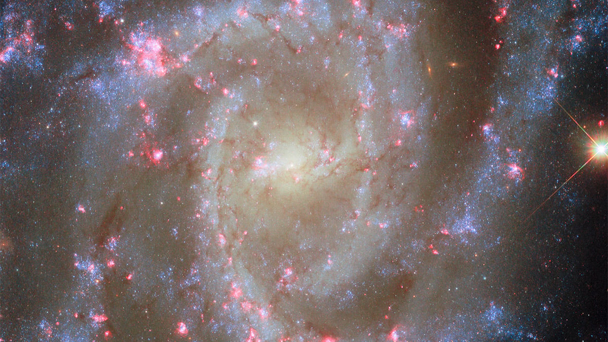 ngc 2835 hubble cover