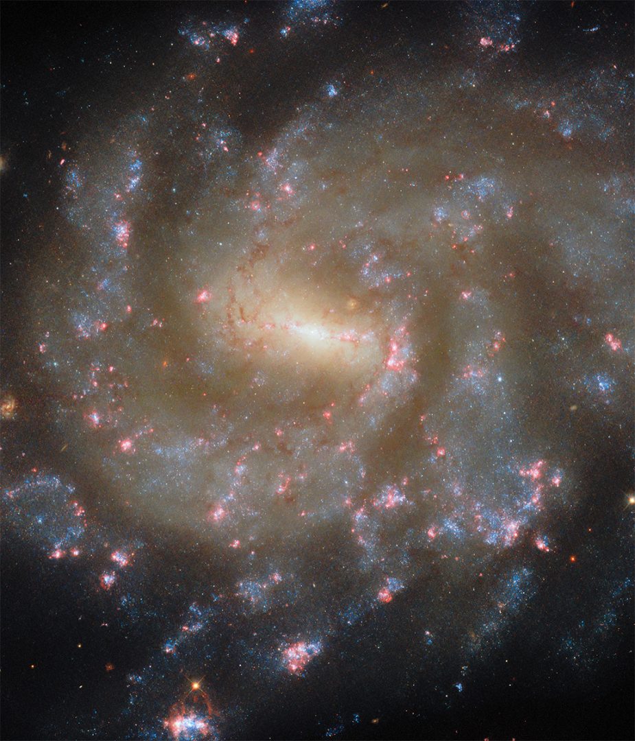 Hubble's image of NGC 685. Credit: ESA/Hubble & NASA, J. Lee, F. Belfiore