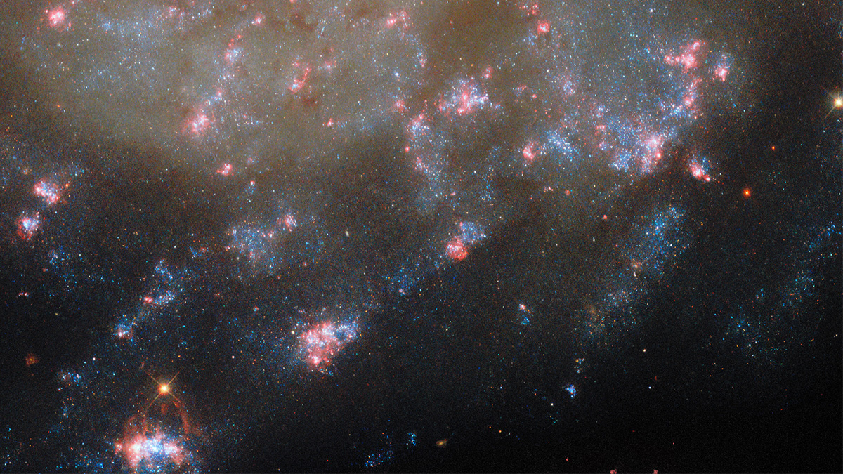 H II regions across the galaxy. Credit: ESA/Hubble & NASA, J. Lee, F. Belfiore