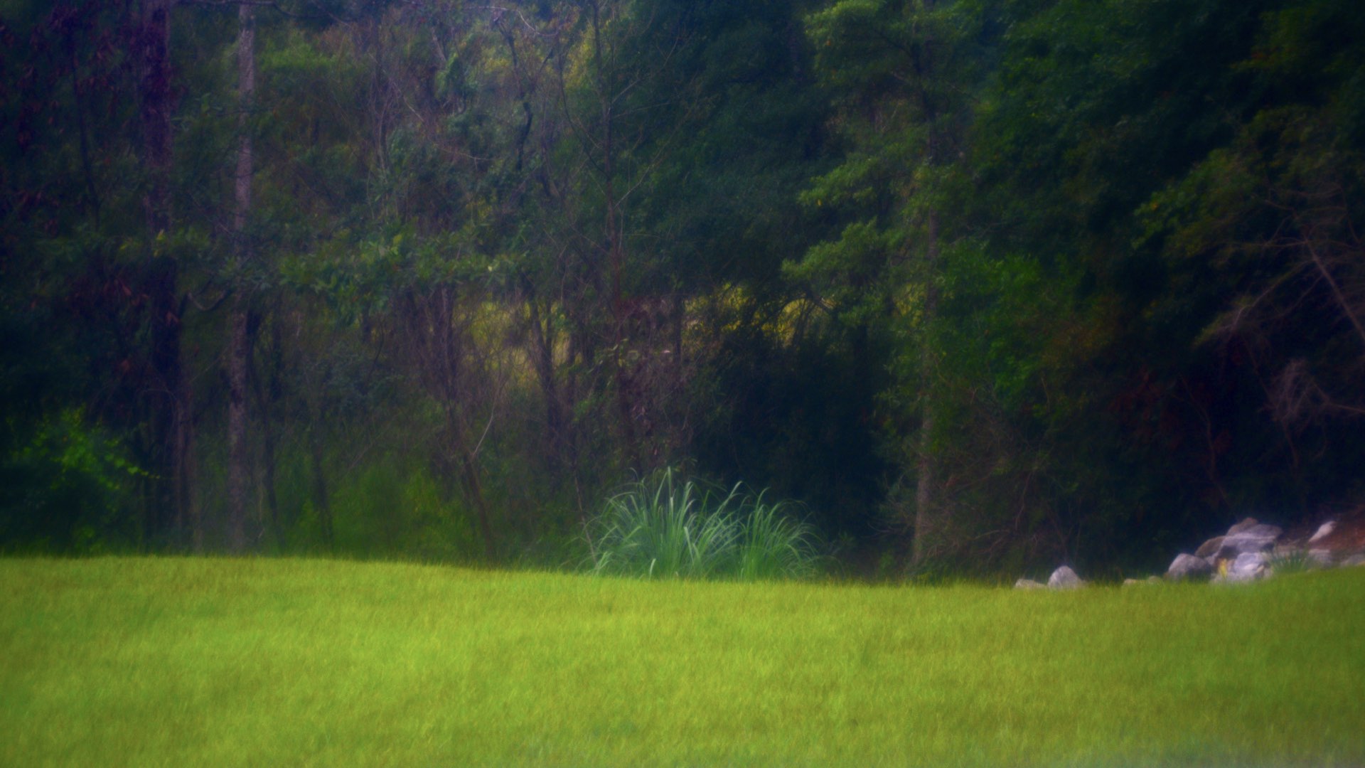 A rainy day