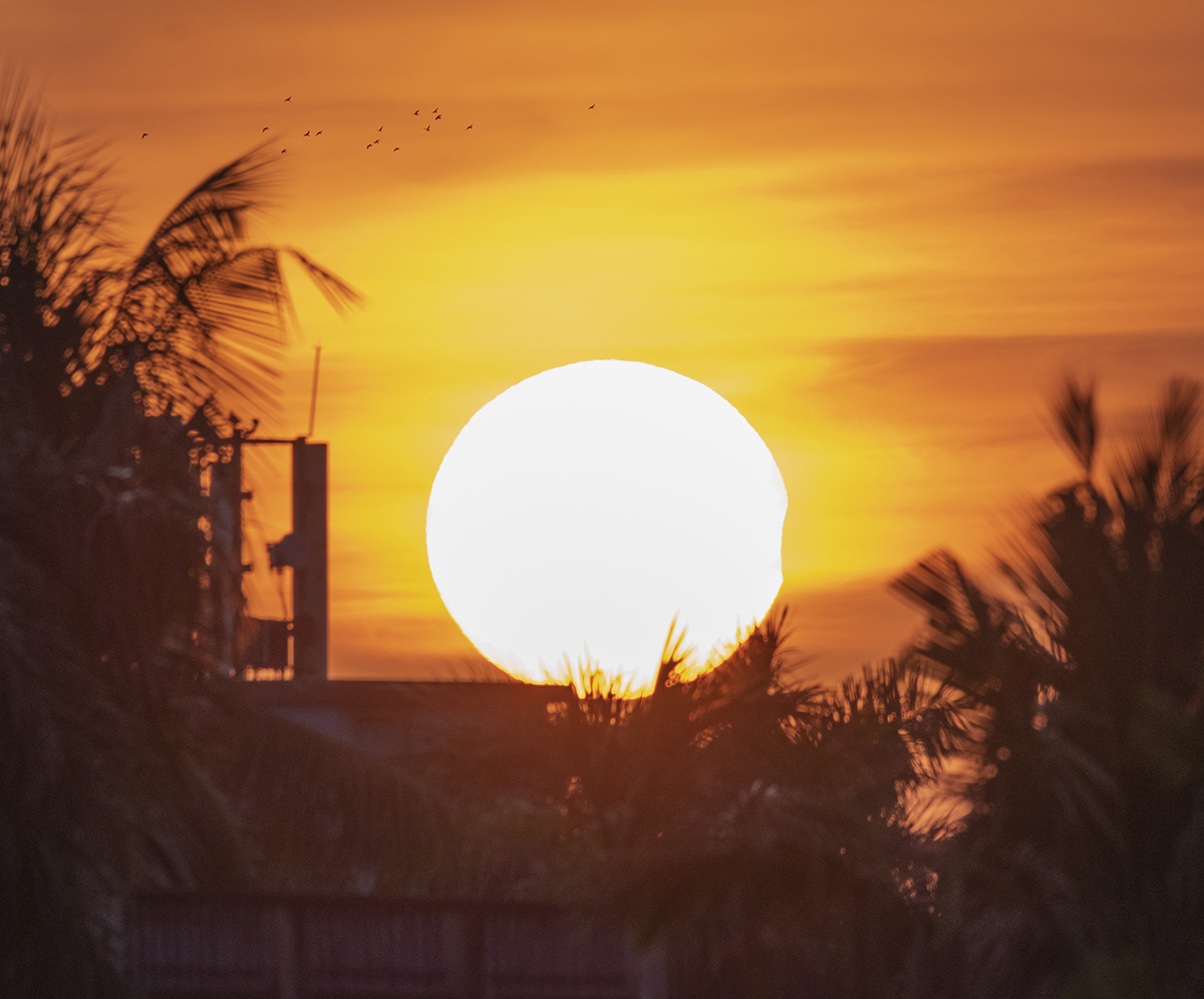 A partial solar eclipse during sunset