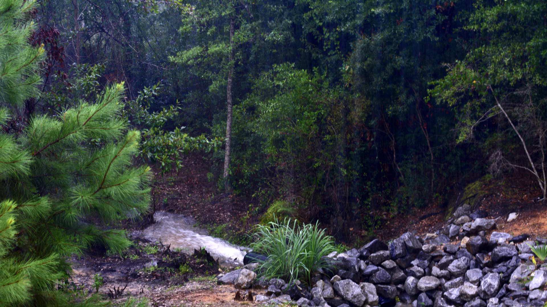 Stream