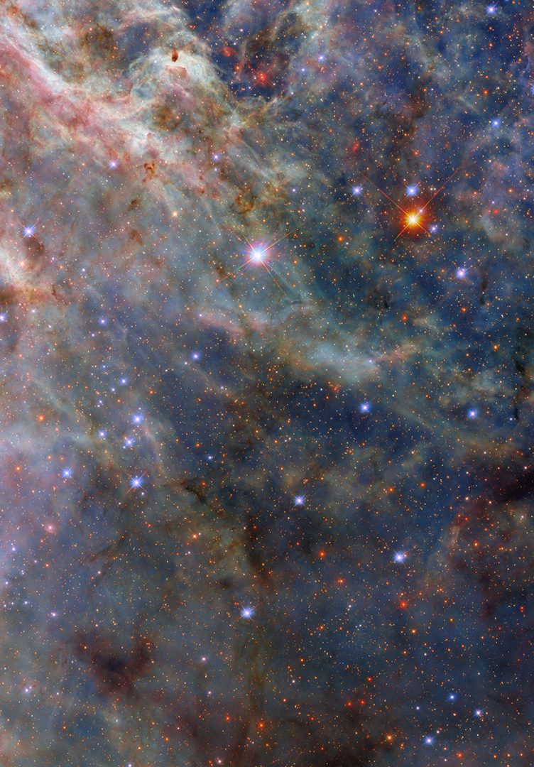 A scene from a star-forming factory shines in this new Hubble image titled "A Sea Monster and a Tarantula". Credit: ESA/Hubble & NASA, C. Murray