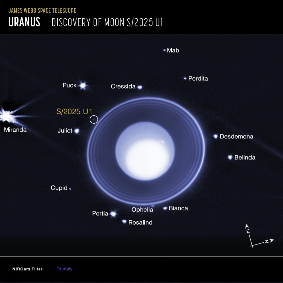 Astronomers using the NASA/ESA/CSA James Webb Space Telescope discovered a new moon orbiting Uranus in images taken by Webb’s NIRCam (Near-Infrared Camera). This image shows the moon, designated S/2025 U1, as well as 13 of the 28 other known moons orbiting the planet. Credit: NASA, ESA, CSA, STScI, M. El Moutamid (SwRI), M. Hedman (University of Idaho)