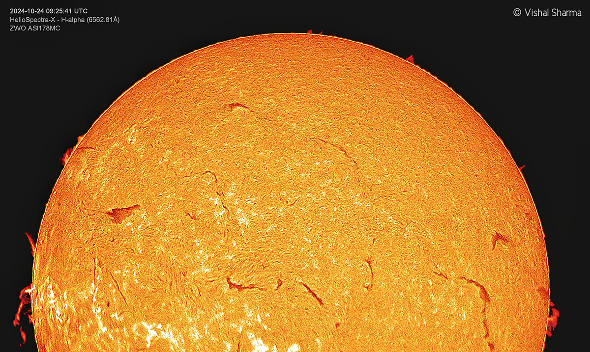 H-alpha in color: This H-alpha solar image has been processed in artificial color in Photoshop to enhance visual contrast and bring out the fine details of the chromosphere. The applied color palette highlights features like filaments, prominences, and active regions on the solar surface. Credit: Vishal Sharma
