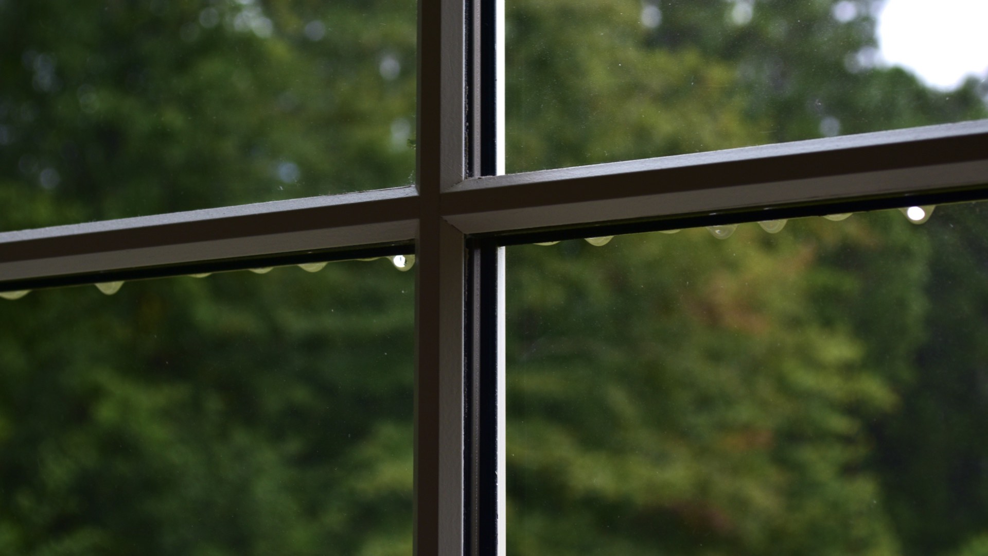 Window