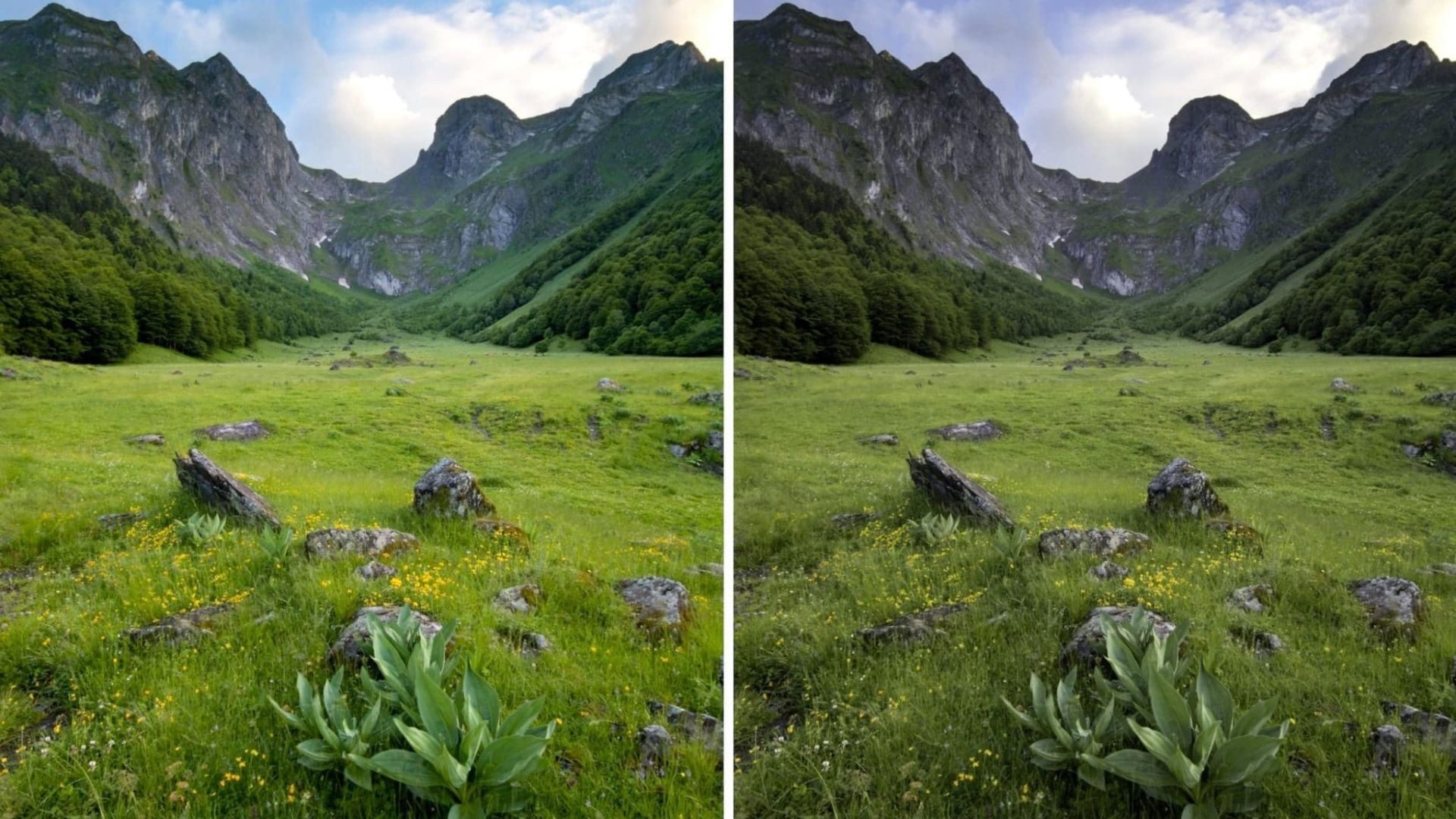 Before and after comparison of mountain valley photo showing color grading differences with green meadow, wildflowers, and rocky peaks under cloudy sky.
