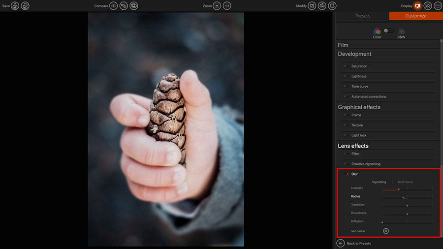 Professional photo editing application displaying hand holding pine cone with blur adjustment panel, lens effects controls, and film development settings visible.
