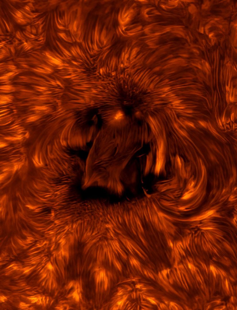 ZWO Astronomy Photographer of the Year 2025