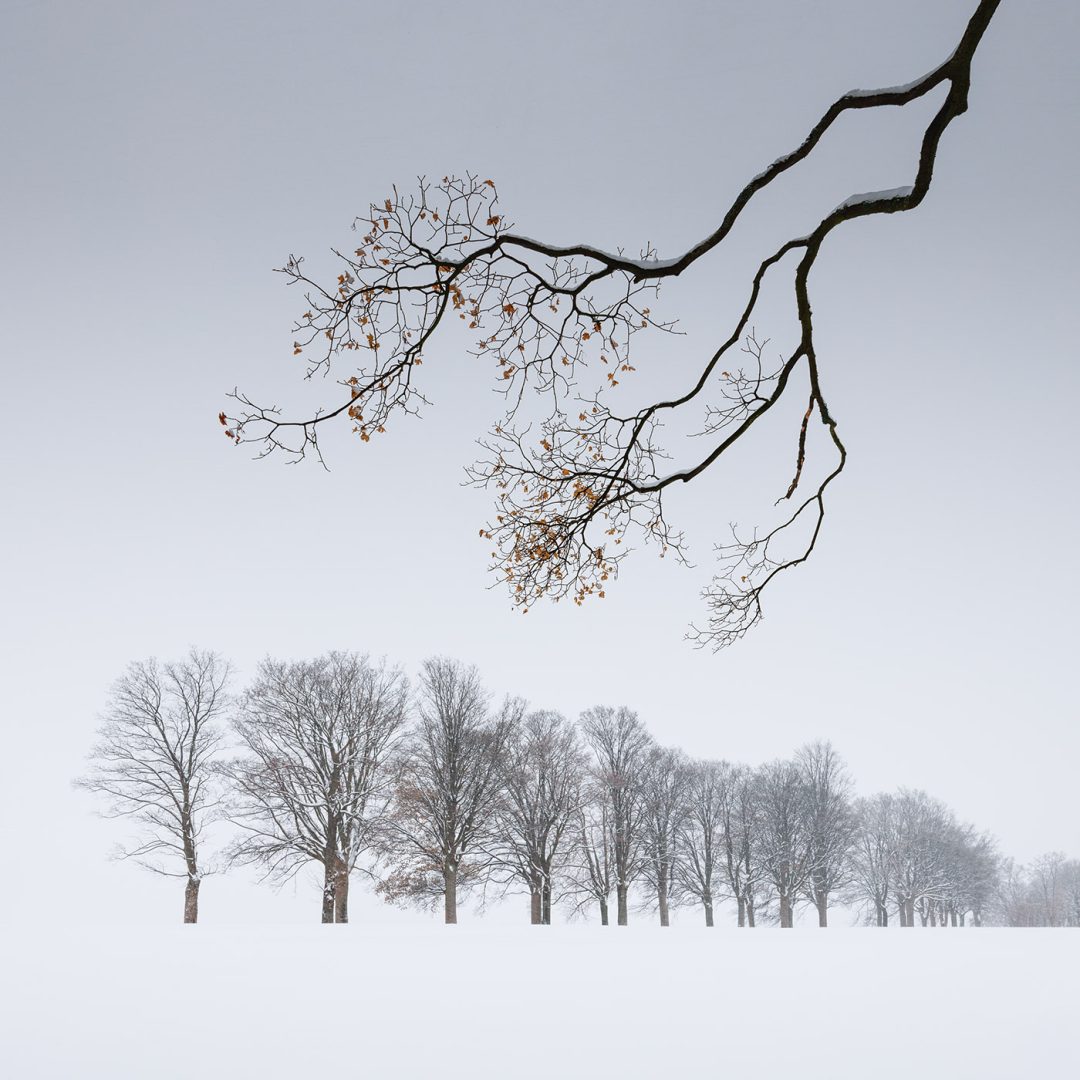 minimalist photography awards