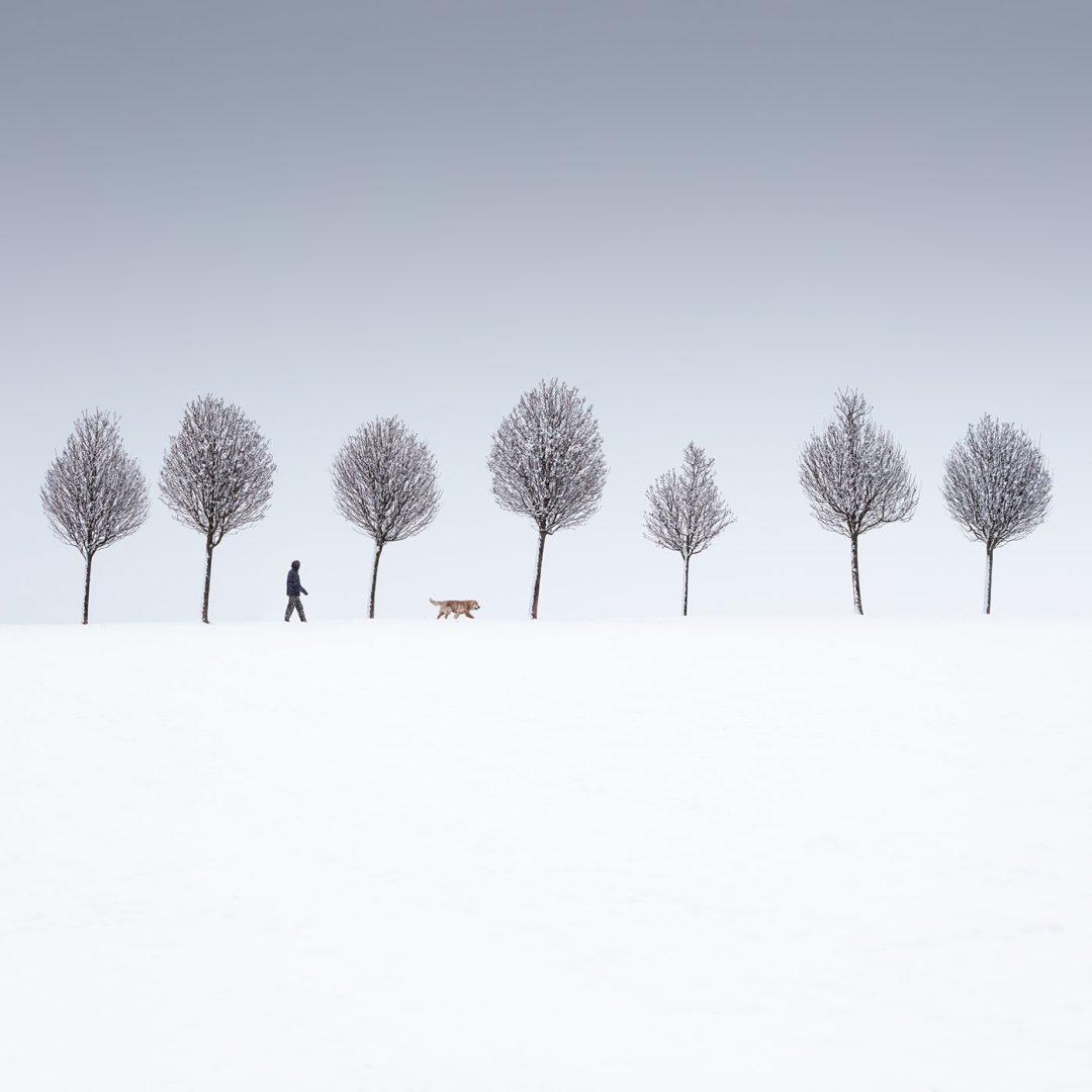 minimalist photography awards