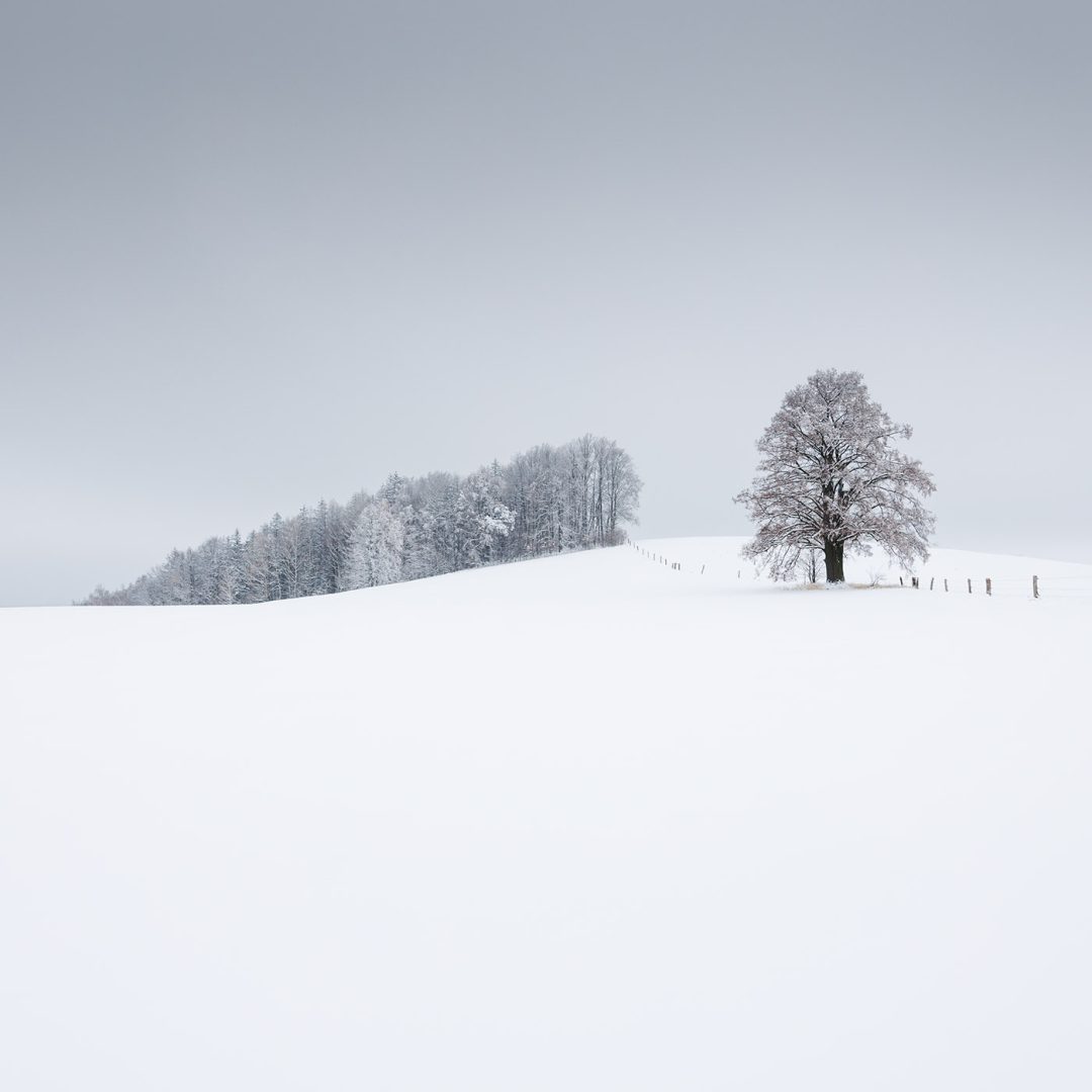 minimalist photography awards