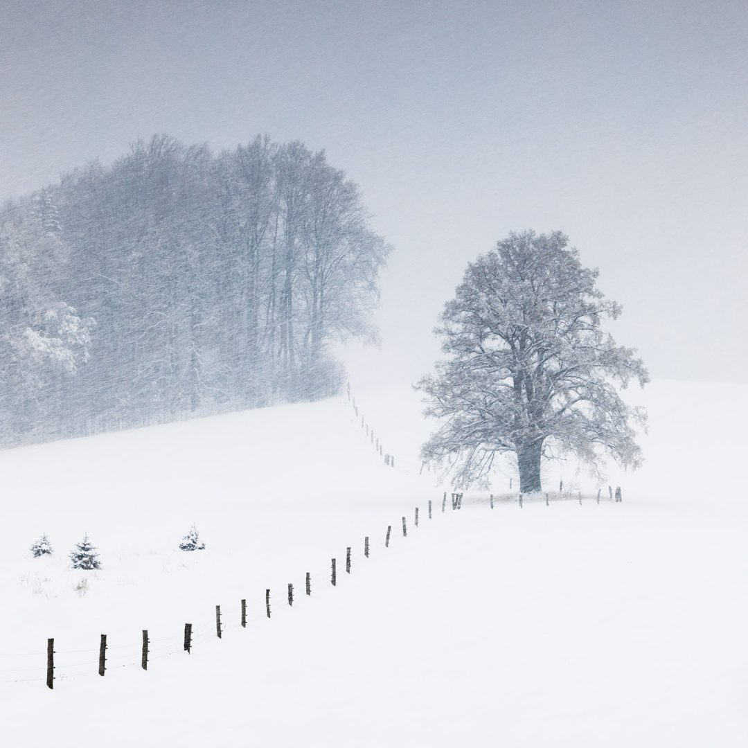 minimalist photography awards