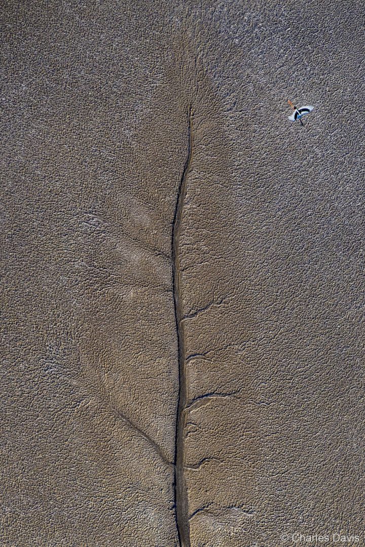 australian geographic competition nature photographer of the year