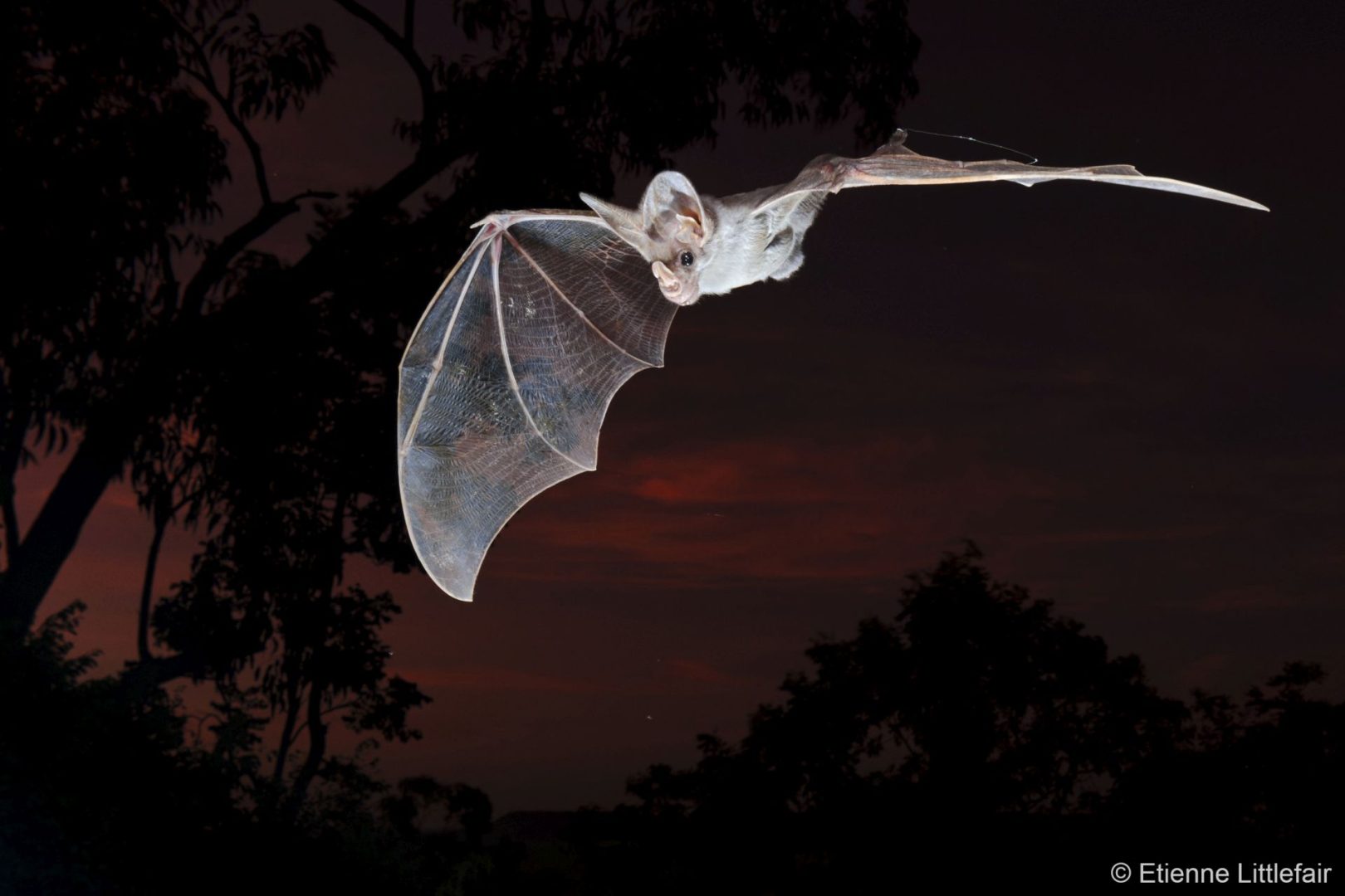 australian geographic competition nature photographer of the year