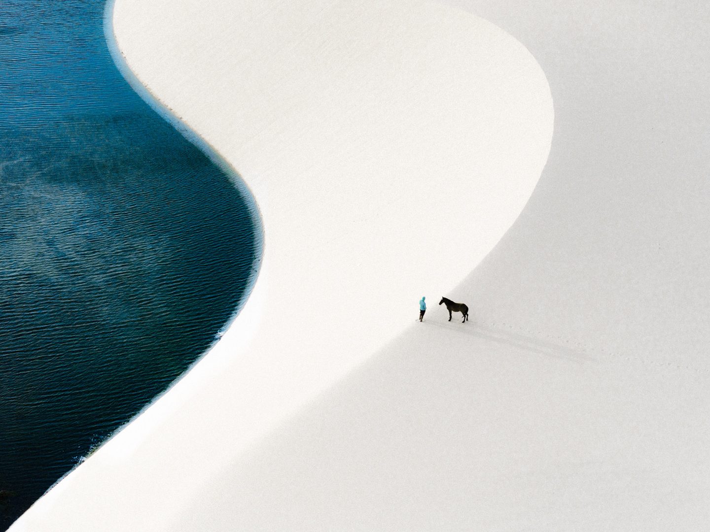 minimalist photography awards