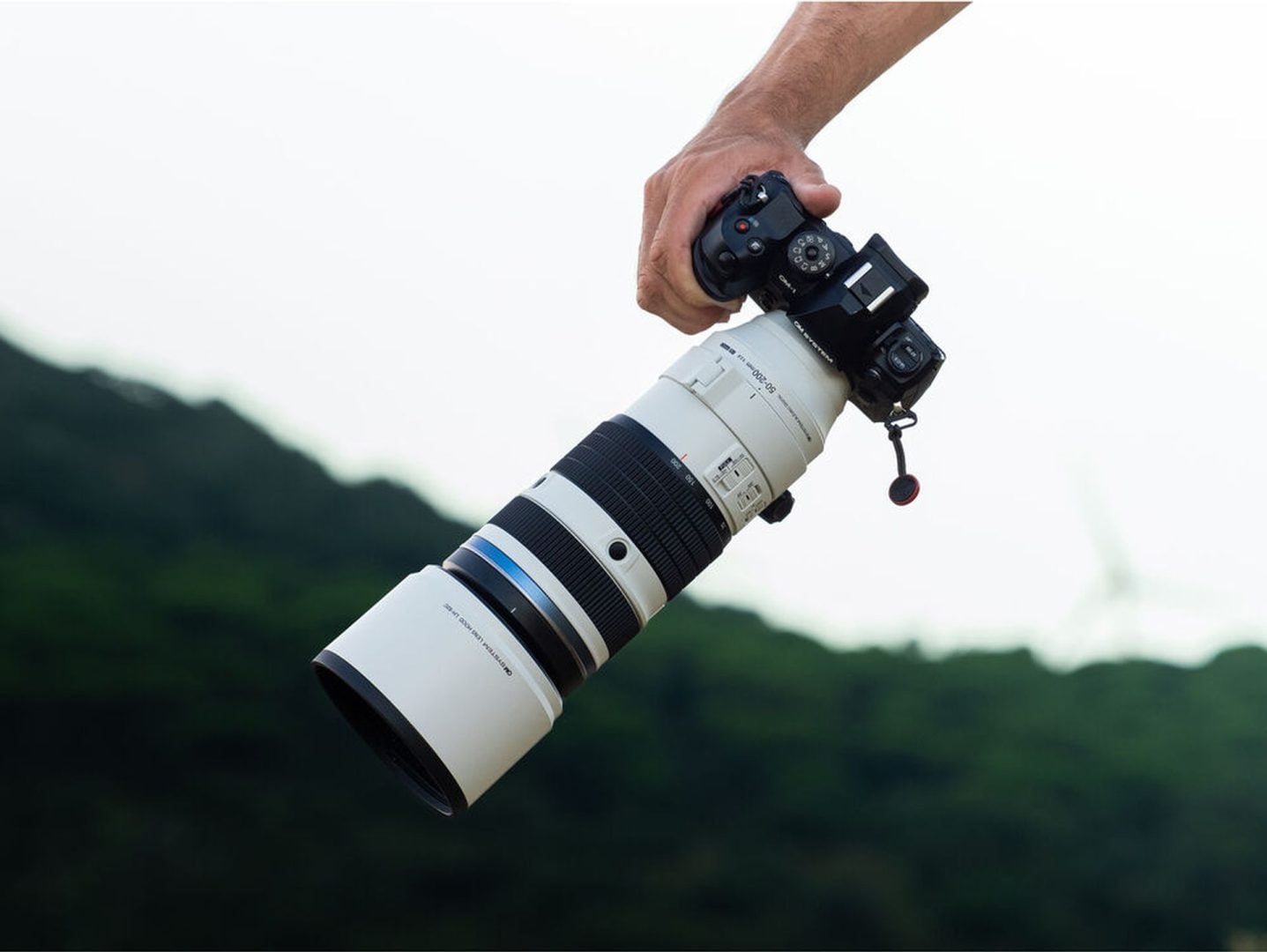 handholding lens