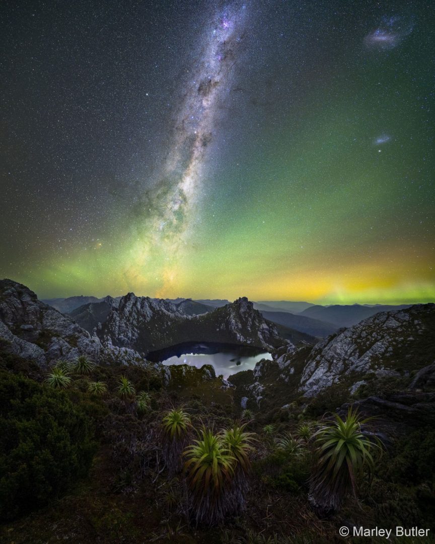 australian geographic competition nature photographer of the year