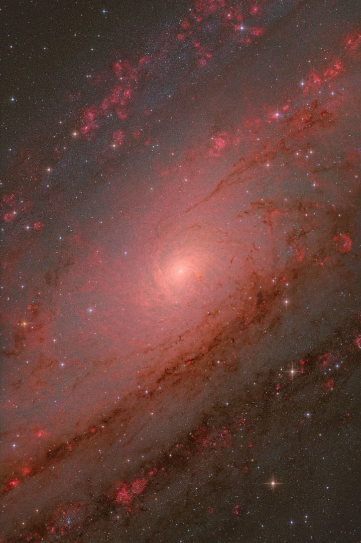 The-Andromeda-Core-Weitang-Liang-Qi-Yang-Chuhong-Yu