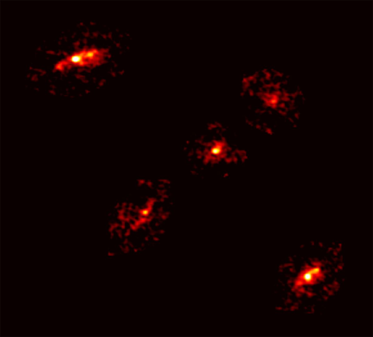 Detailed morphology of each of the five images of the Einstein cross, as revealed by ALMA. Credit: P. Cox et al. - ALMA (ESO/NAOJ/NRAO)