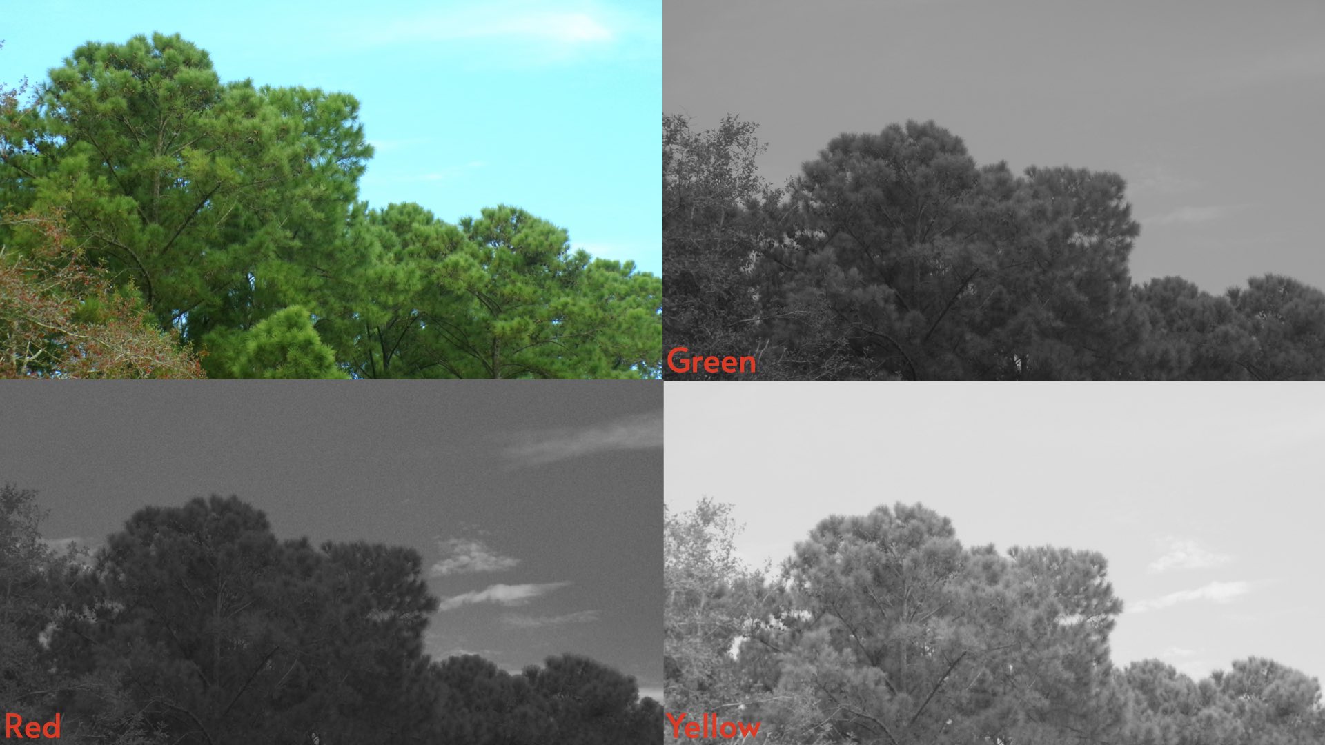 Filter examples