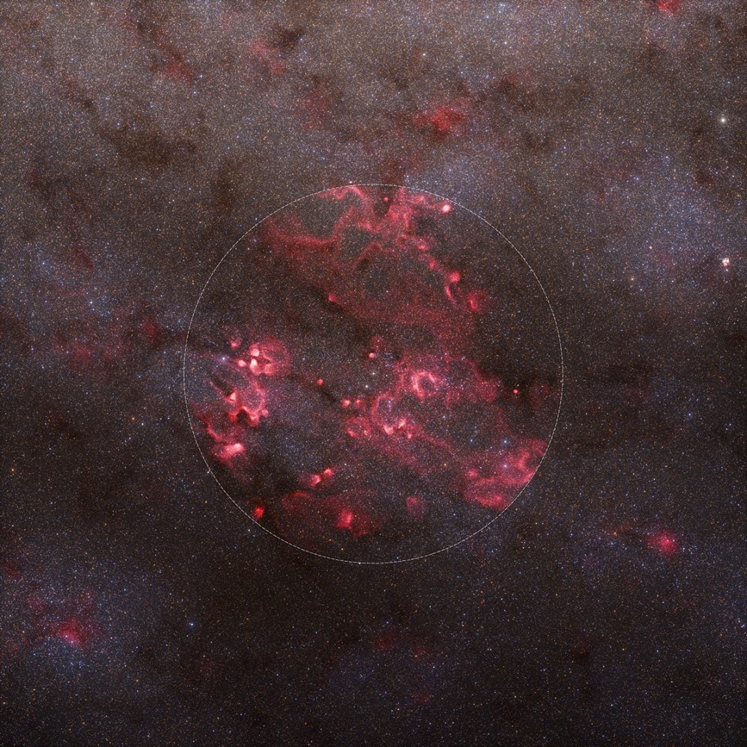 Scientists created the most accurate 3D map of star-formation regions in our Milky Way galaxy, based on data from the European Space Agency’s Gaia space telescope. Credit: ESA/Gaia/DPAC, S. Payne-Wardenaar, L. McCallum et al (2025)