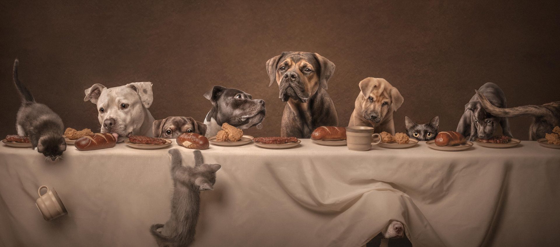 These Dog Photographer of the Year Winning Photos Will Have Your Tail Wagging All Day