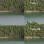 Four-panel comparison of lake and forest footage showing H.264, ProRes LT, H.265, and ProRes HQ video codec quality differences in nature scene.