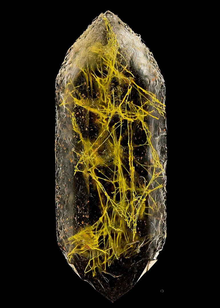 microscopic photography contest